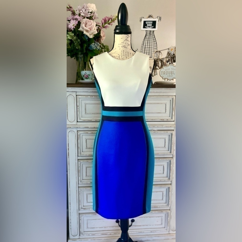 🖤GORGEOUS FABRIC! Pretty & Professional designer sheath dress, size 6-se…